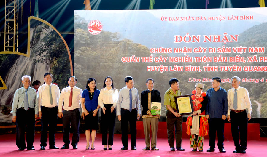 Công[-]nhận[-]Cây[-]Di[-]sản[-]vào[-]đúng[-]ngày[-]Kỷ[-]niệm[-]50[-]năm[-]thống[-]nhất[-]đất[-]nước
